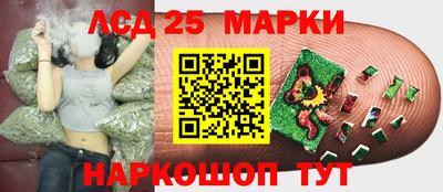 сатива Рыбинск