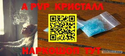сатива Рыбинск
