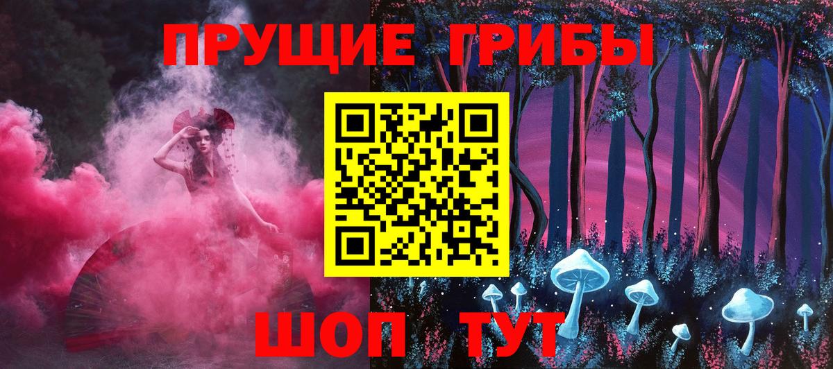 где можно купить   Вход с VPN  Приморско-Ахтарск  Галлюциногенные грибы Cubensis 