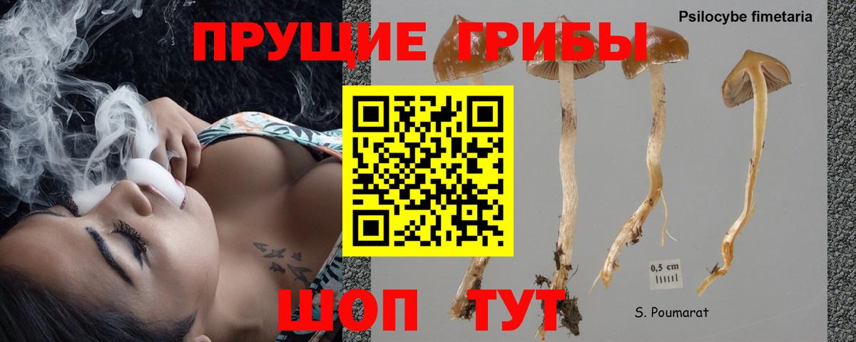 Галлюциногенные грибы мухоморы Приморско-Ахтарск